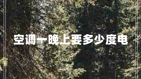 空調(diào)一晚上要多少度電