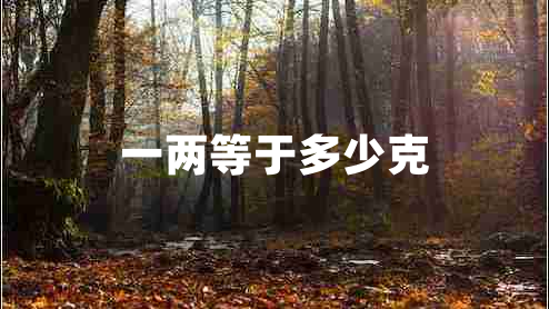 一兩等于多少克