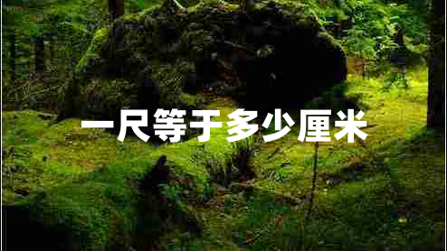 一尺等于多少厘米