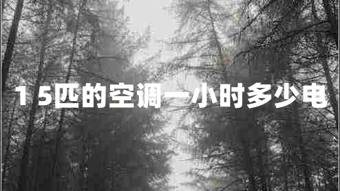 1 5匹的空調(diào)一小時(shí)多少電