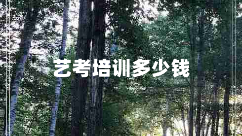 藝考培訓(xùn)多少錢