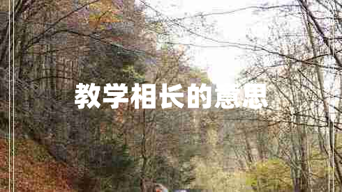教學(xué)相長(zhǎng)的意思