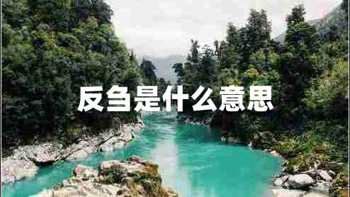 反芻是什么意思