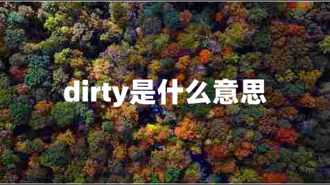dirty是什么意思