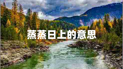 蒸蒸日上的意思