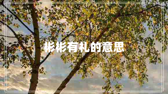 彬彬有禮的意思