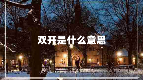 雙開是什么意思