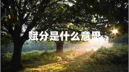 賦分是什么意思