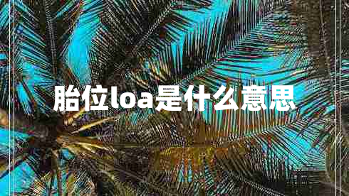 胎位loa是什么意思 胎位loa是什么意思