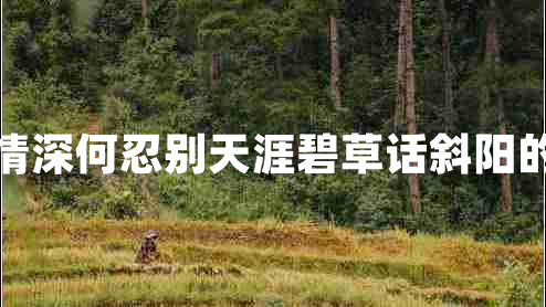 蒙漢情深何忍別天涯碧草話斜陽(yáng)的意思