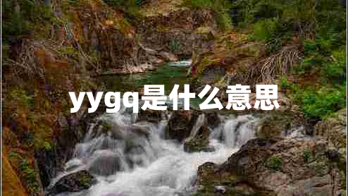 yygq是什么意思