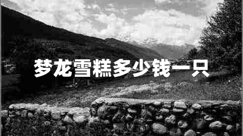 夢(mèng)龍雪糕多少錢一只