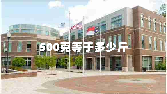 500克等于多少斤