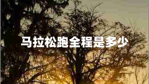 馬拉松跑全程是多少