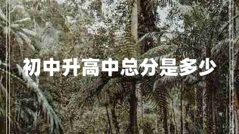 初中升高中總分是多少 初中升高中總分是多少
