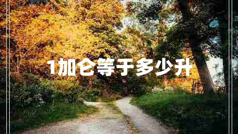 1加侖等于多少升