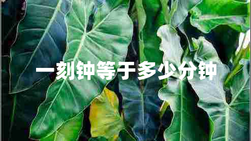 一刻鐘等于多少分鐘