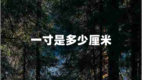 一寸是多少厘米