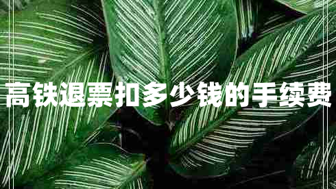 高鐵退票扣多少錢的手續(xù)費(fèi)