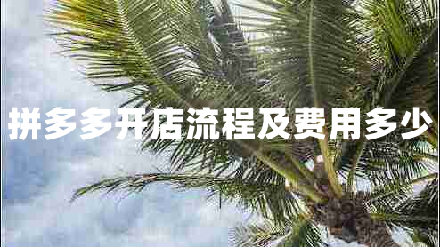 拼多多開店流程及費(fèi)用多少