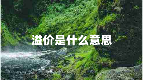 溢價是什么意思