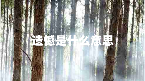 遺憾是什么意思