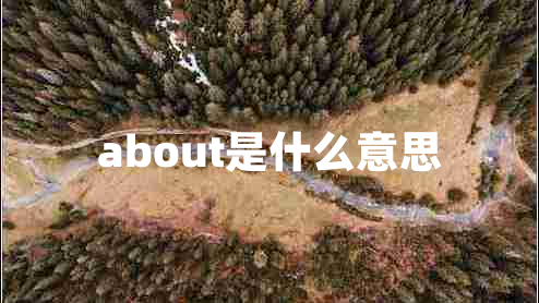 about是什么意思