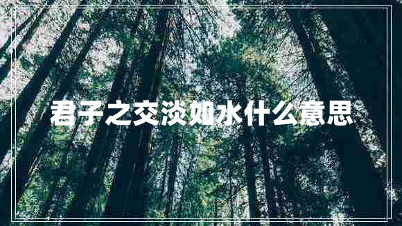 君子之交淡如水什么意思