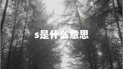 s是什么意思