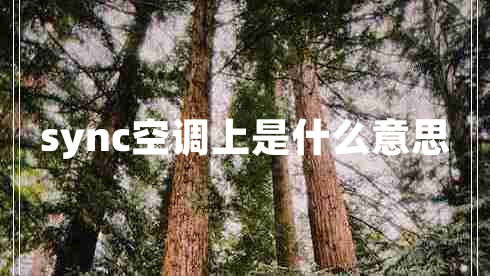 sync空調(diào)上是什么意思