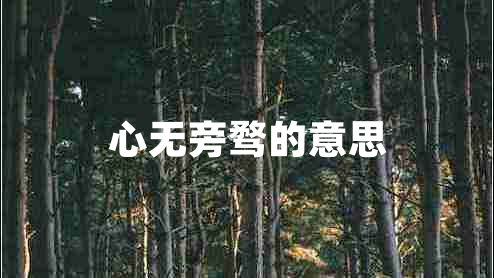 心無旁騖的意思
