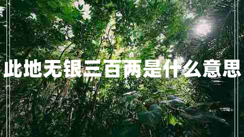 此地?zé)o銀三百兩是什么意思