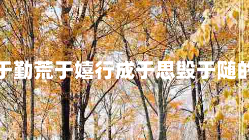 業(yè)精于勤荒于嬉行成于思毀于隨的意思