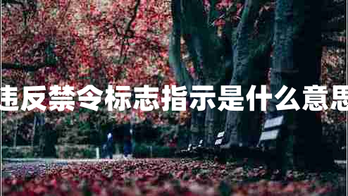 違反禁令標志指示是什么意思 違反禁令標志指示是什么意思
