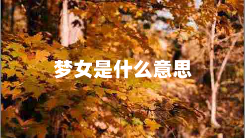 夢女是什么意思