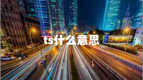 ts什么意思