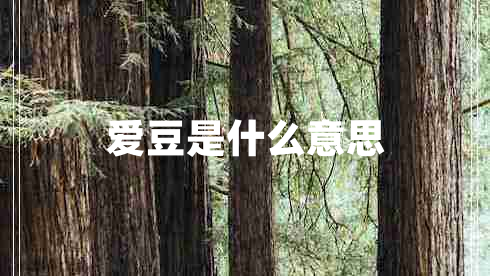 愛豆是什么意思