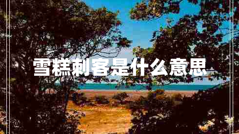 雪糕刺客是什么意思