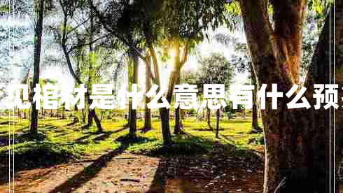 夢(mèng)見(jiàn)棺材是什么意思有什么預(yù)兆