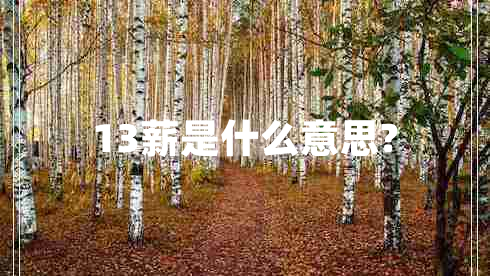 13薪是什么意思?