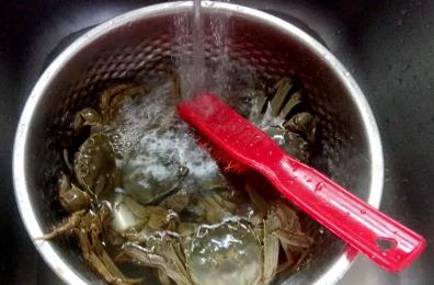 清蒸螃蟹的做法和步驟 清蒸螃蟹的做法和步驟