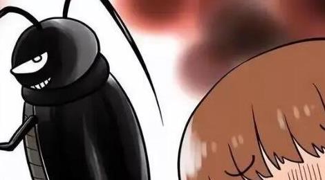 蟑螂會(huì)靠近熟睡的人嗎