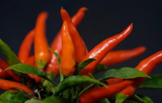 九個(gè)最準(zhǔn)懷男孩胎夢(mèng)