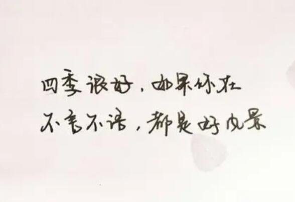 最肉麻情話短句很甜的小短句20條