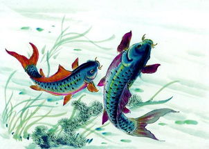 鯉魚跳龍門的典故,鯉魚的來歷典故,鯉魚焙面的典故