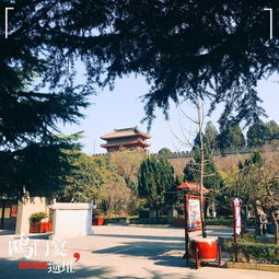 典故,項(xiàng)莊舞劍意在沛公