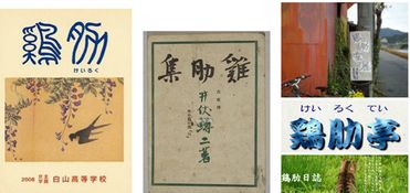 關(guān)于雞肋的典故