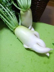 南京大蘿卜是罵人的嗎,南京大蘿卜由來(lái),南京大蘿卜