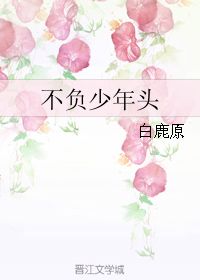 不負(fù)少年頭汪精衛(wèi),壯志不負(fù)少年頭,不負(fù)少年頭全詩(shī)解讀