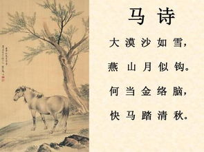 金絡(luò)腦典故